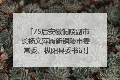 75后安徽铜陵副市长杨文萍履新铜陵市委常委、枞阳县委书记