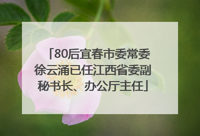 80后宜春市委常委徐云涌已任江西省委副秘书长、办公厅主任