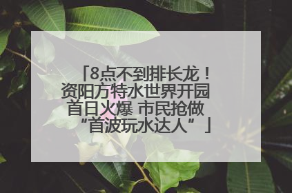 8点不到排长龙！资阳方特水世界开园首日火爆 市民抢做“首波玩水达人”
