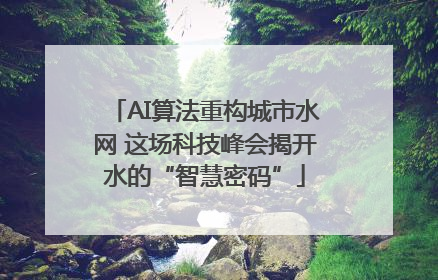 AI算法重构城市水网 这场科技峰会揭开水的“智慧密码”