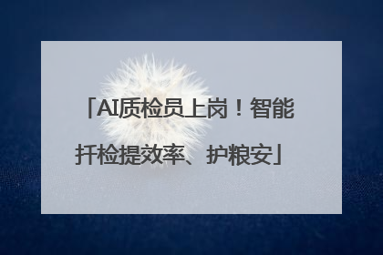 AI质检员上岗！智能扦检提效率、护粮安